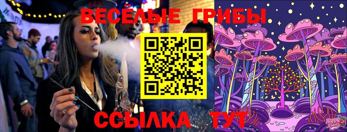 Симферополь  Псилоцибиновые грибы мухоморы  Вход с VPN  что такое   Псилоцибиновые грибы Psilocybine cubensis 